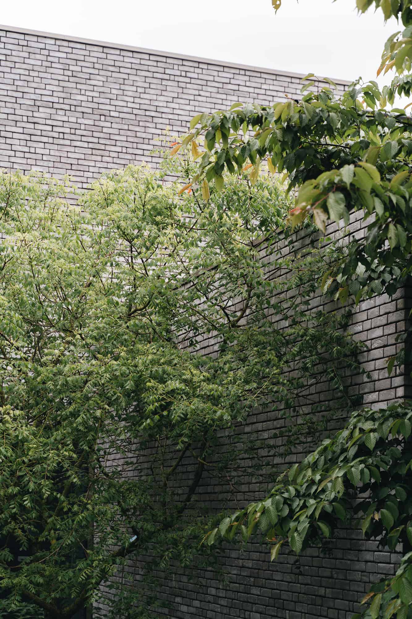 buroc-architecten-dierenasiel-gent-nieuwbouw-patio